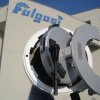 Fulg-o-Tooth